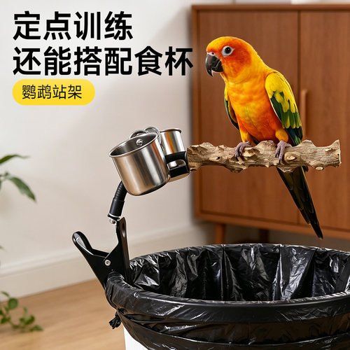 鹦鹉站杆定点排便磨牙花椒木
