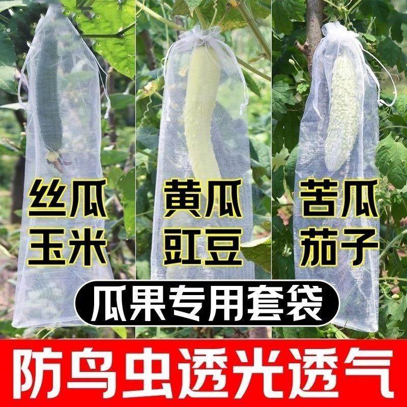 丝瓜黄瓜苦瓜套袋纱袋防虫专用网袋水果葡萄番茄枇杷瓜果保护袋子