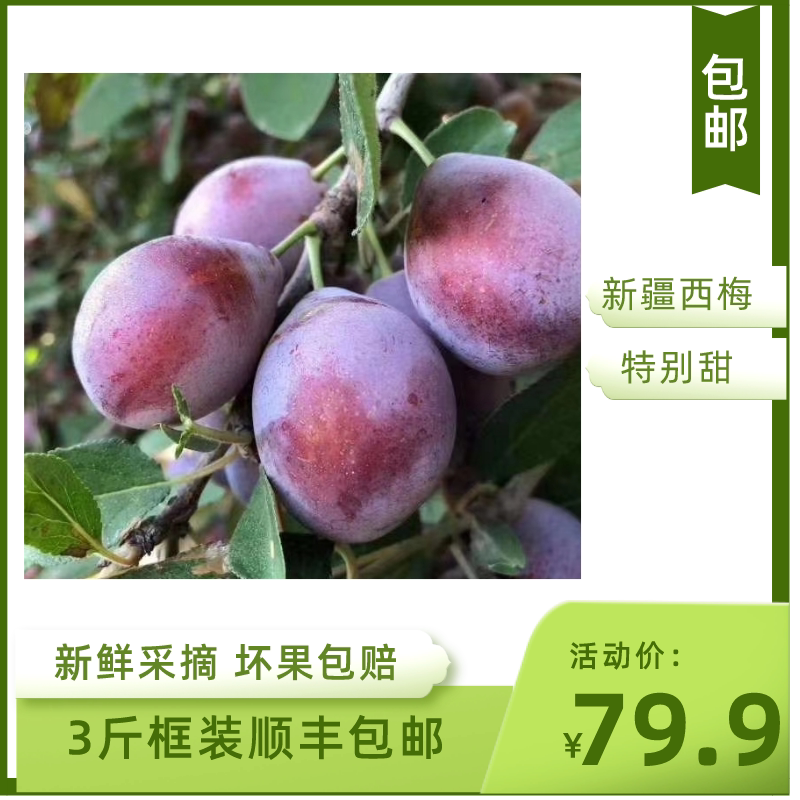 新疆法兰西西梅时令水顺丰果产地直发应季新鲜孕妇零食3斤筐装