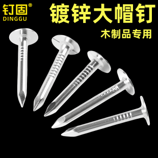 镀锌大帽铁钉大头钉油毡钉沥青瓦钉固定沥青瓦钉定木头钉大冒铁钉