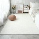 2025新款 地毯卧室客厅沙发茶几垫家用房间耐脏地垫满铺毛毯床边毯