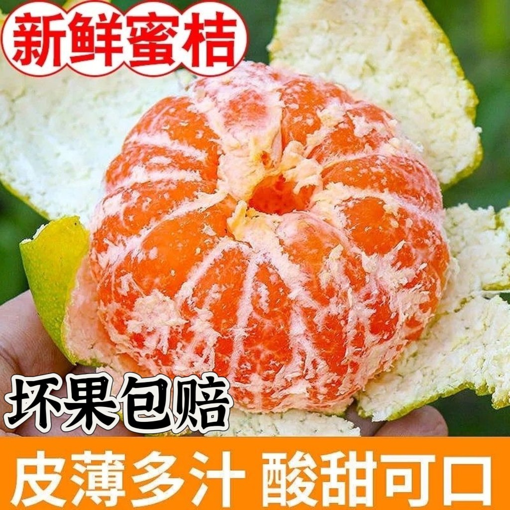 广西青皮蜜桔皮薄酸甜当季新鲜水果包邮早柑广西青桔橘子产地直发