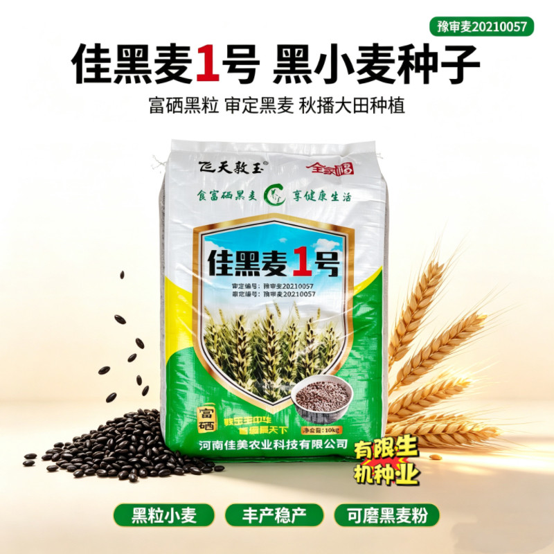 佳黑麦1号黑小麦种子 豫审麦富硒黑麦 半冬性高产黑麦子大田种子