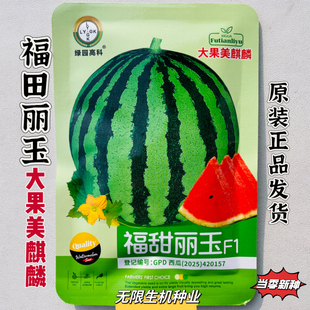 福甜丽玉西瓜种子早熟高产抗病超甜花皮红瓤西瓜种籽孑大果美麒麟