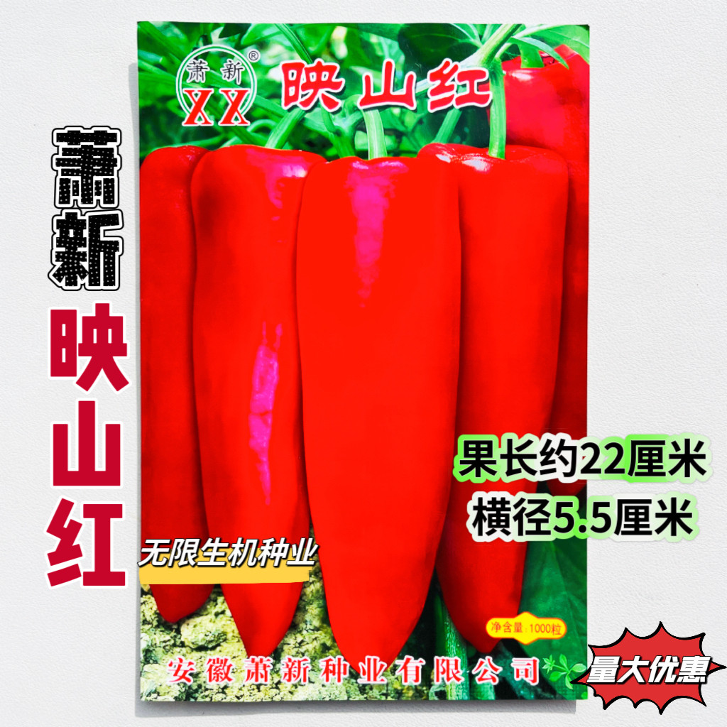 萧新映山红 辣椒种子大果特大春秋季四季南方蔬菜种籽高产牛角椒