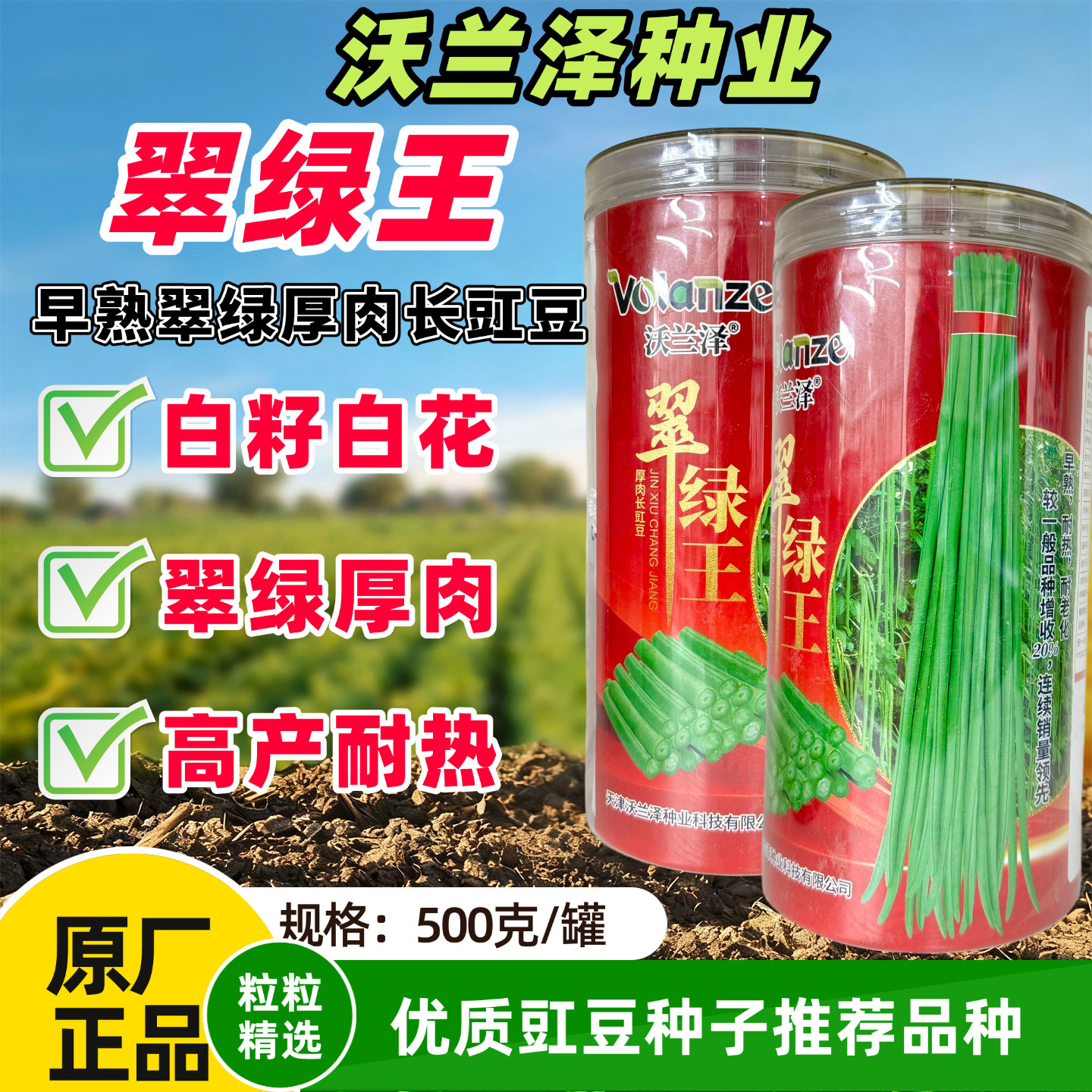 翠绿王豇豆种子早熟高产厚肉翠绿长豆角种籽南北方大田基地播正品
