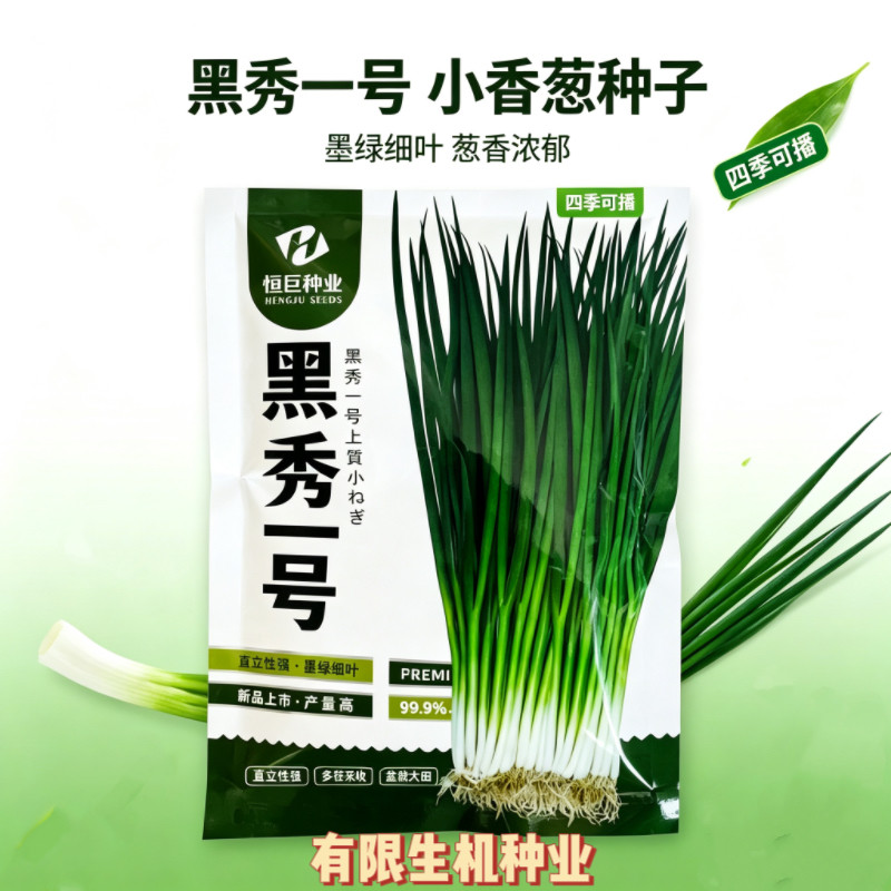 黑秀一号小香葱种子 墨绿细叶四季小葱 香味浓多茬采收蔬菜种籽