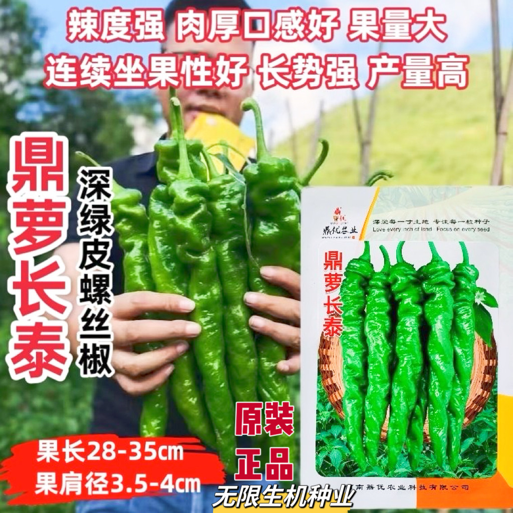 正品鼎优辣椒种子鼎萝长泰螺丝椒种子特大果深绿色螺丝椒种籽香辣