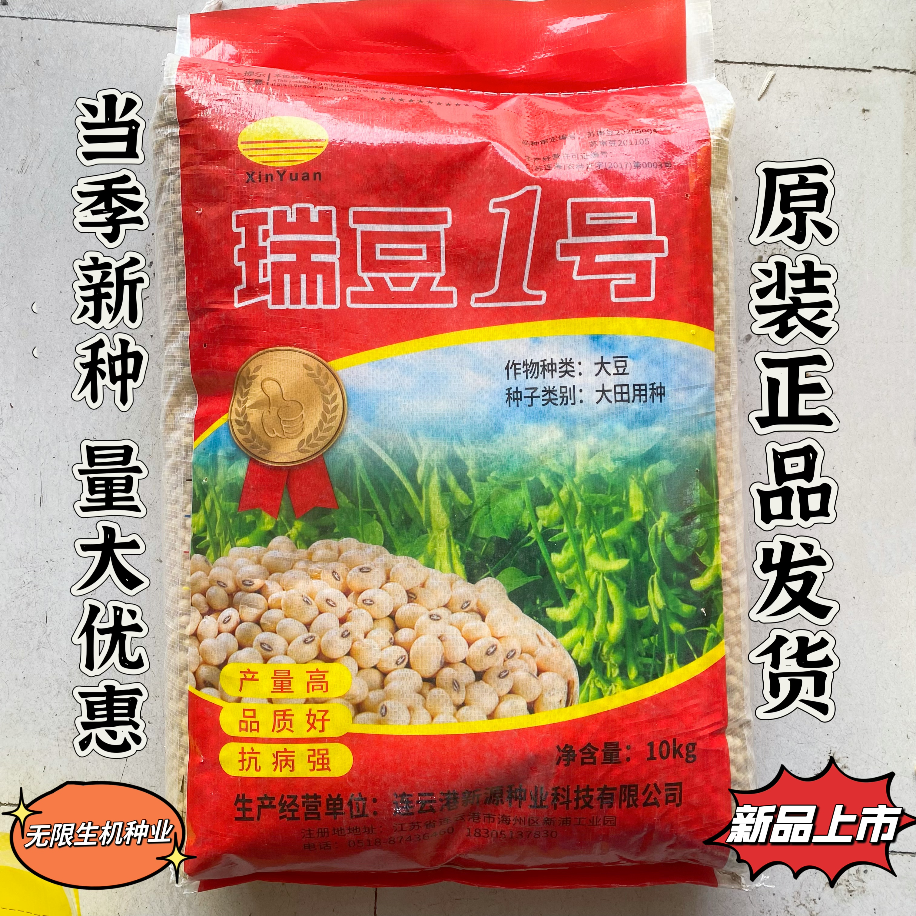 瑞豆1号大豆种子高产抗病抗倒伏优质黑脐大粒黄豆种籽农家大田播