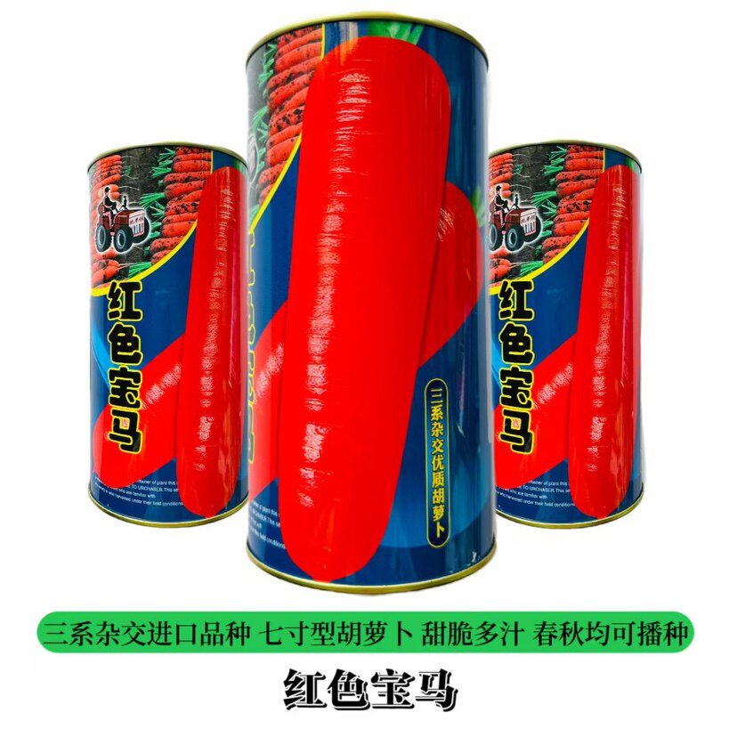 意大利进口胡萝卜种子大田种植蔬菜籽早熟高产七寸型红色宝马正品