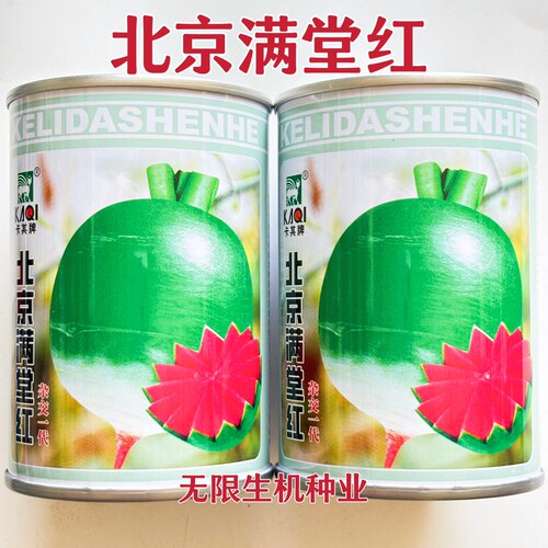 北京满堂红萝卜种子心里美籽种心灵美红心水果萝卜红种籽秋播正品