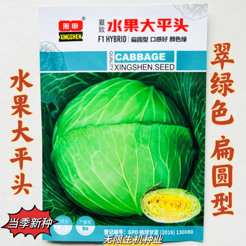 水果大平头甘蓝种子包菜种籽秋播南方蔬莲花白卷心菜种孑大头菜