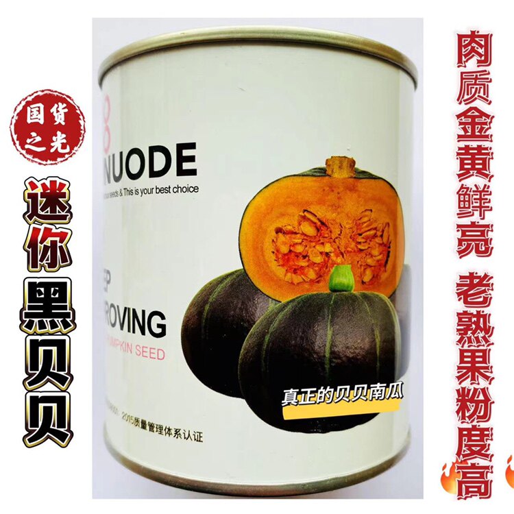 迷你黑贝贝南瓜种子真正的贝贝南瓜种籽早熟高产香甜粉糯春秋季孑