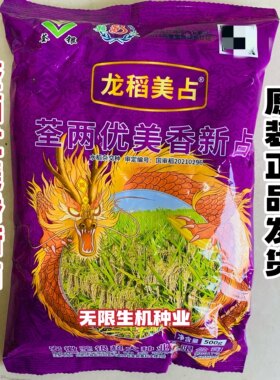 龙稻美占水稻种子荃两优美香新占稻谷种优质长粒香米高产抗病抗倒