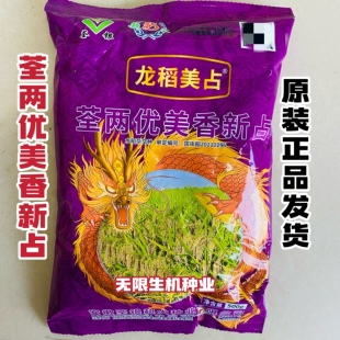 龙稻美占水稻种子荃两优美香新占稻谷种优质长粒香米高产抗病抗倒