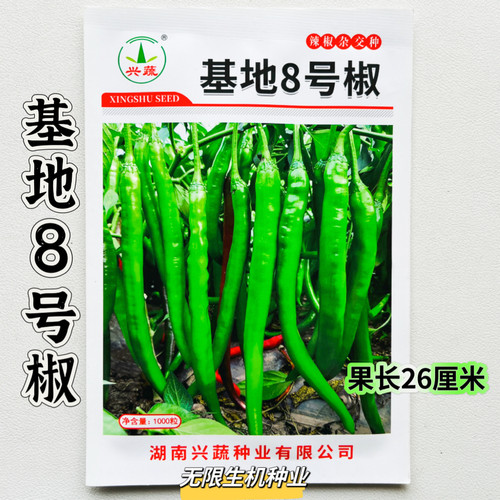 基地8号椒种籽辣椒种子中早熟薄皮香辣口感好线椒种籽春秋季播种