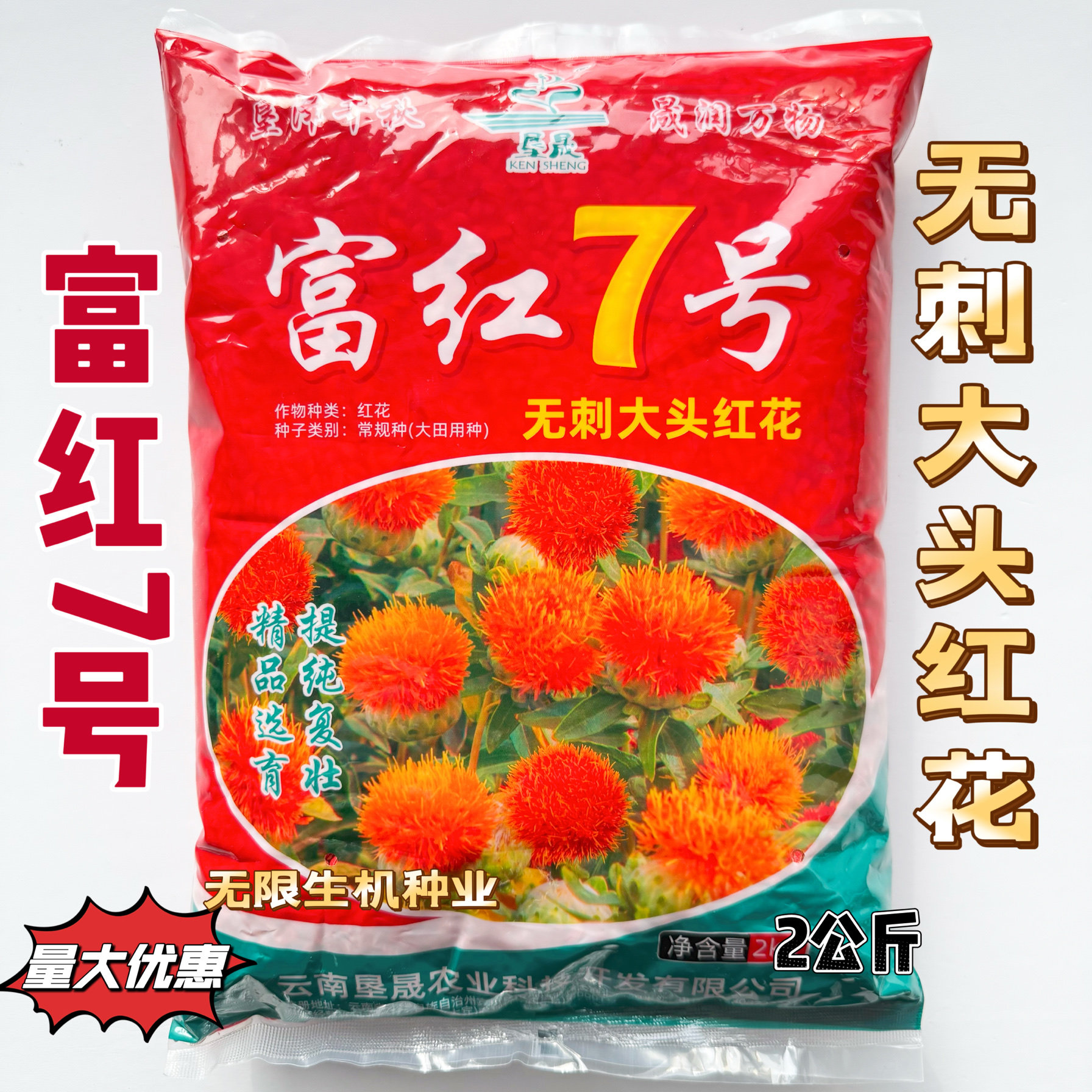 富红7号滇红花种子花朵大无刺大头红花种籽花丝长耐寒耐瘠产量高