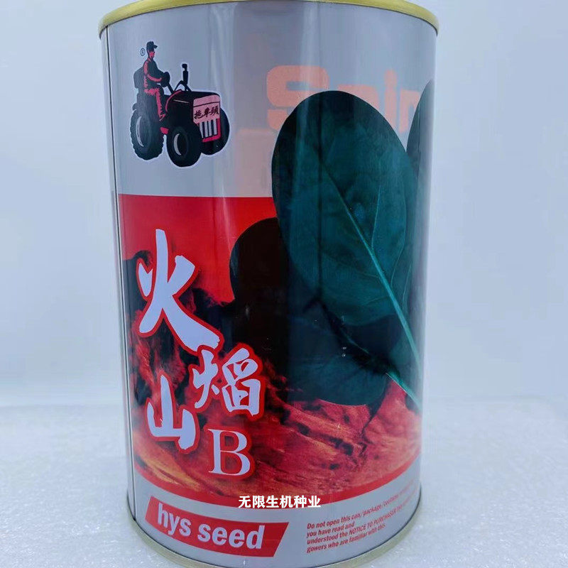 火焰山高产夏季菠菜种子