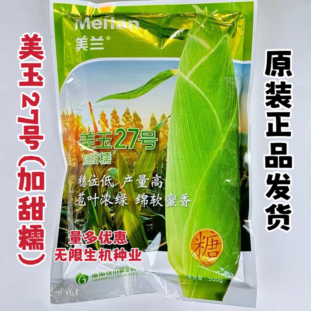 海南美玉27号加甜糯玉米种子长筒型早熟矮杆大穗高产香糯黏甜玉米
