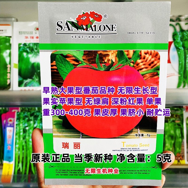 瑞丽番茄种子早熟大果无限生长型深粉红色绿肩颜色亮丽可露地栽培