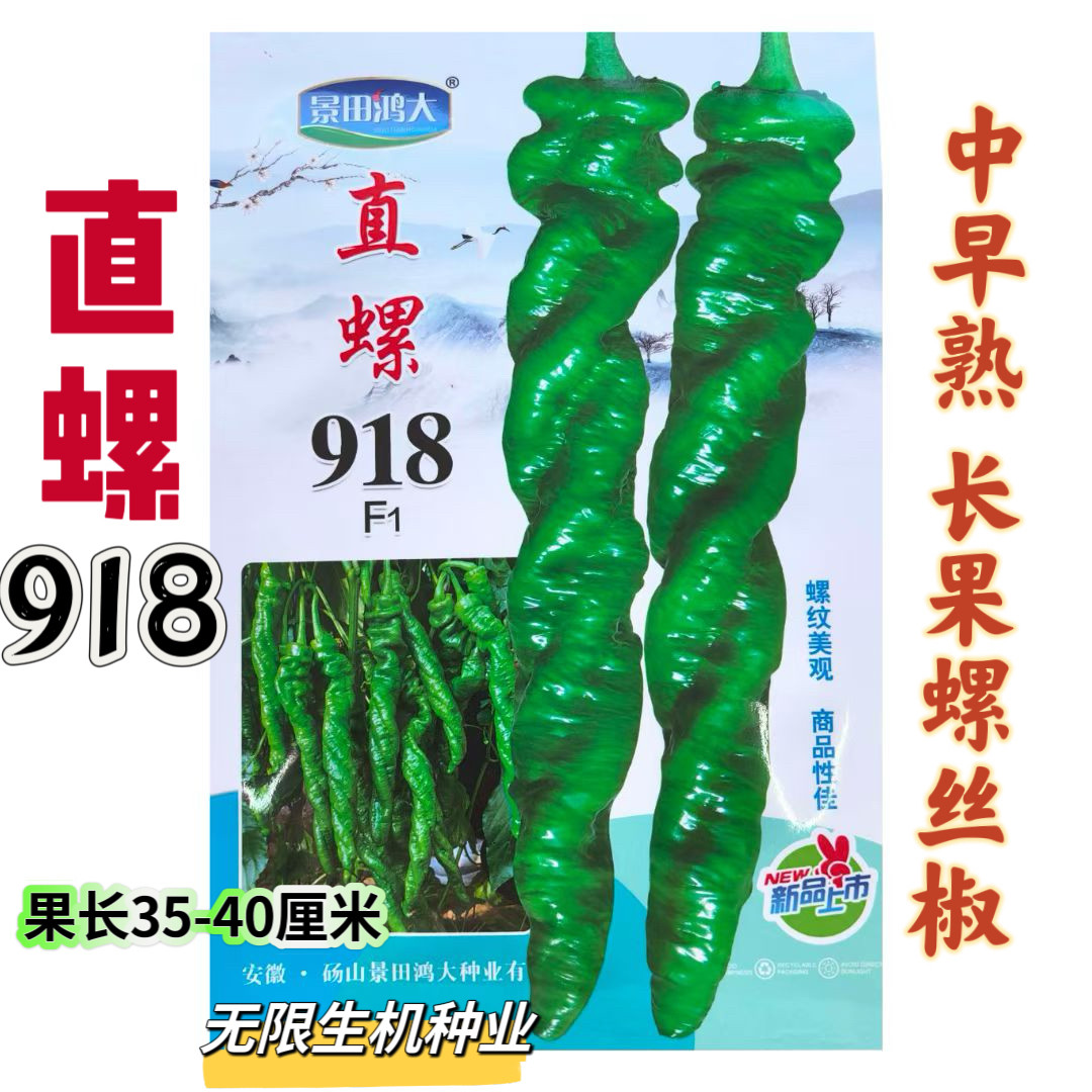 直螺918螺丝椒种子 中早熟青辣椒果长可达40厘米农家大田蔬菜种籽