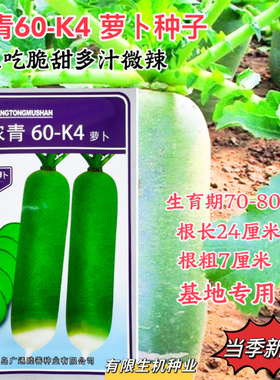 正品 浓青60-K4水果萝卜种子脆甜爽口肉质细嫩春秋播青萝卜种孑