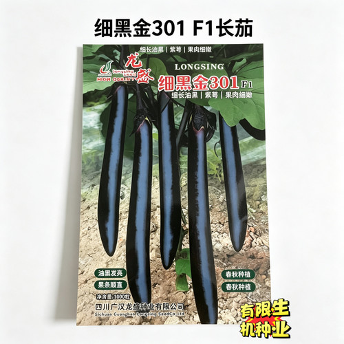 细黑金301F1长茄种子 早熟紫萼细长黑亮茄子 春秋大棚露地茄子种