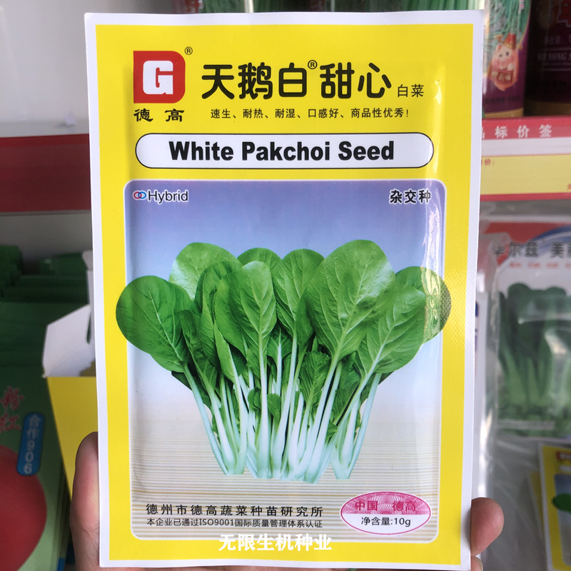 德高 天鹅白甜心菜种子夏季耐高温耐雨小白菜种籽农家奶白菜种孑
