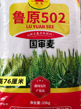 鲁原502小麦种子国审麦 高产抗病秋冬季播种半冬性麦种原装 15kg