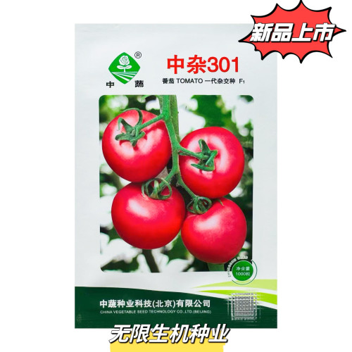 农科院中杂301粉果大番茄种子四季种西红柿种籽蔬菜水果种孑正品