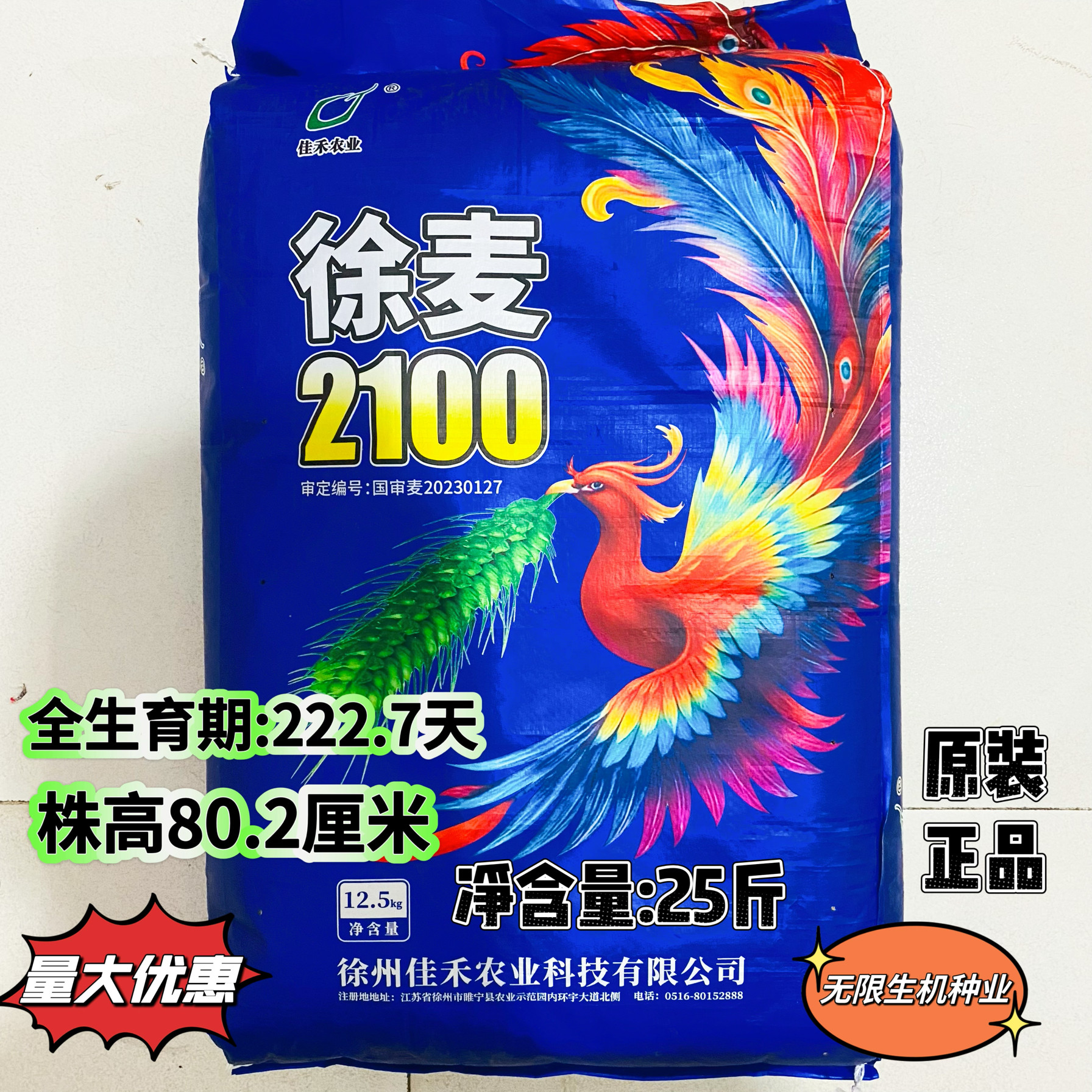 正品徐麦2100小麦种子高产抗病耐寒大田专用小麦种籽小麦种子农家