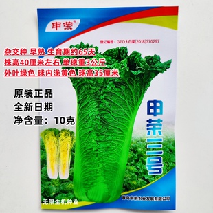 申荣三号青帮大白菜种子青麻叶黄心白菜籽秋天高产四季冬季蔬菜孑