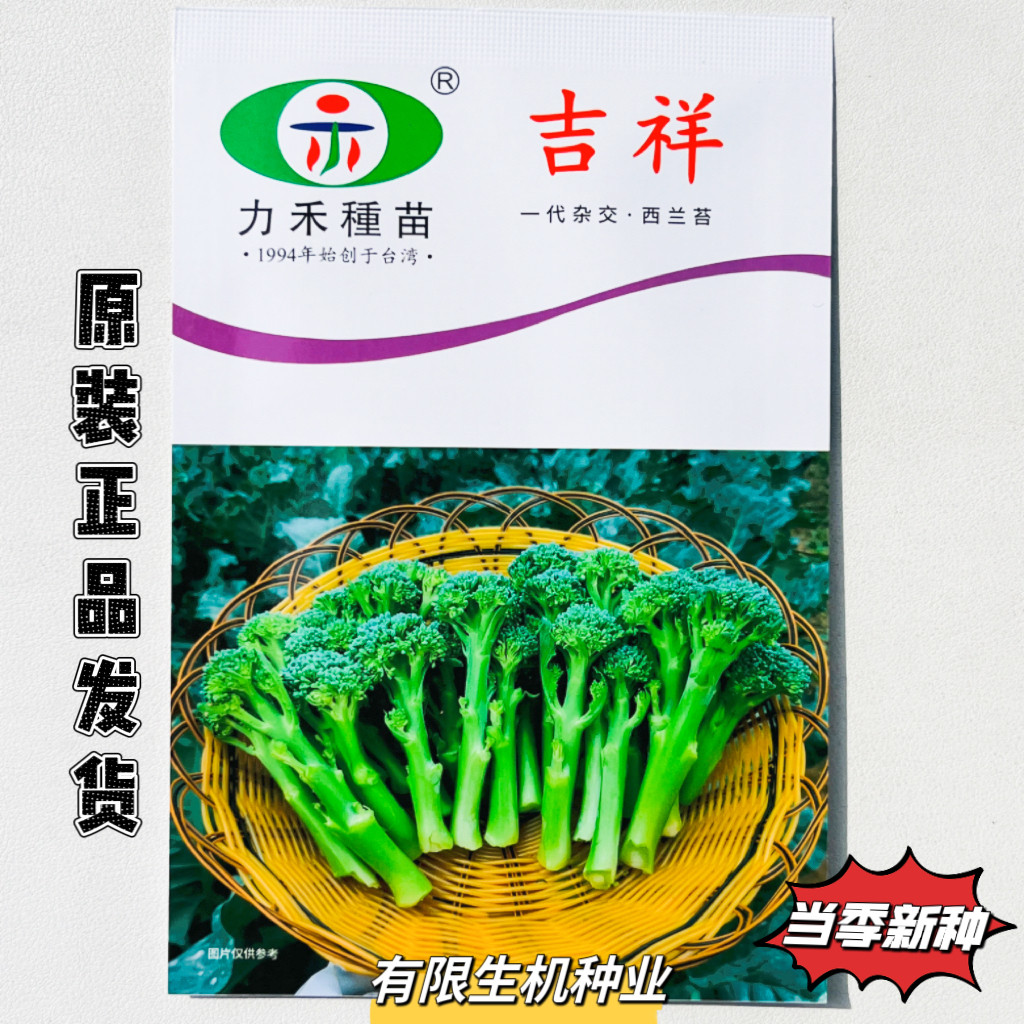 正品吉祥西兰苔种子春秋播西兰薹种籽西洋芥兰种子花椰菜口感甜软