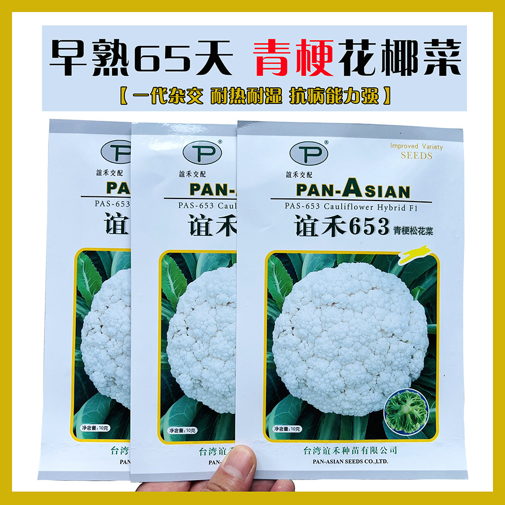 谊禾653花菜种子65天早中熟青梗花椰菜种籽花球松大雪白肉脆正品