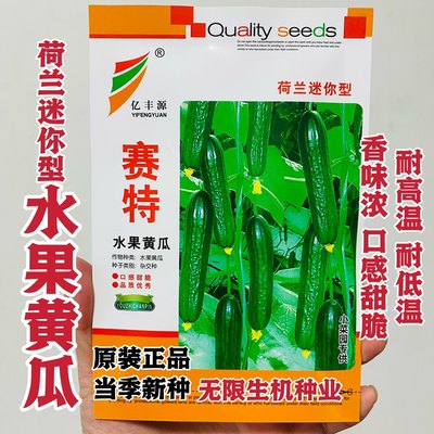 水果黄瓜种子无刺小青瓜种苗节节有瓜春秋季高产瓜果农家蔬菜种孑