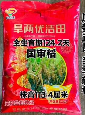 正品旱两优洁田稻种子 国审稻种籽 高产抗病优质旱稻种籽香稻子
