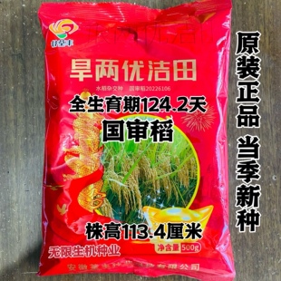 正品旱两优洁田稻种子 国审稻种籽 高产抗病优质旱稻种籽香稻子