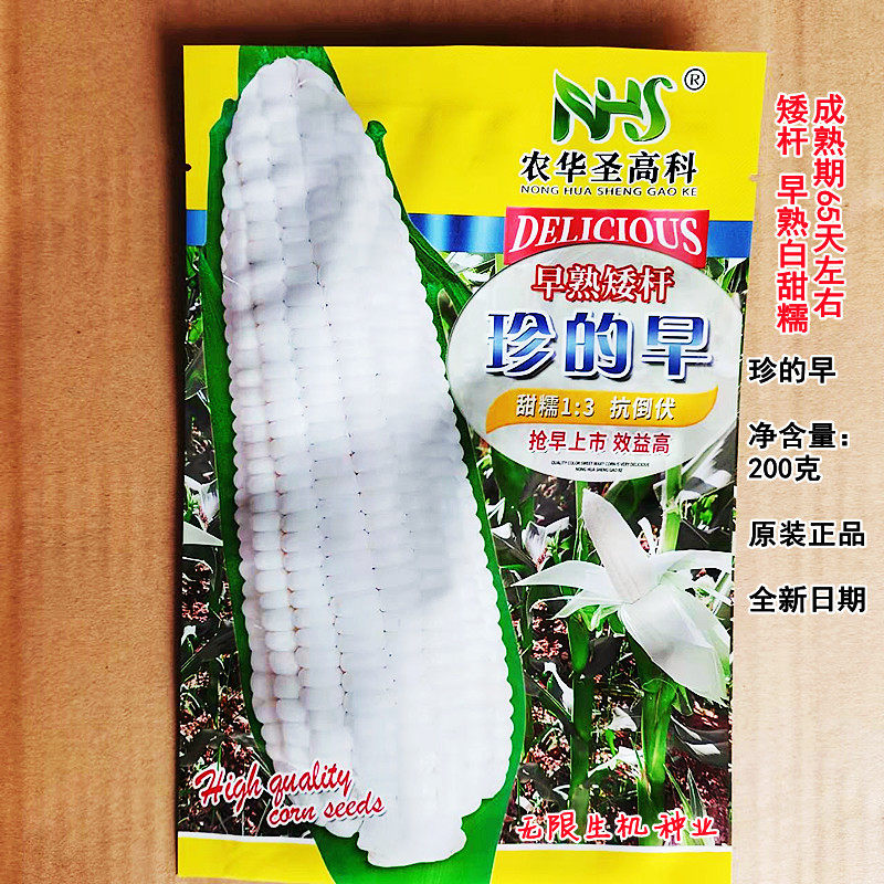 白玉米种子珍早2019甜玉米早熟矮杆非转基因国审品种抗病高产春播