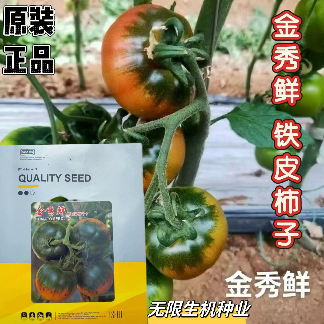金秀鲜铁皮柿子番茄种子无限生长型带绿肩酸甜水果番茄油皮西红柿