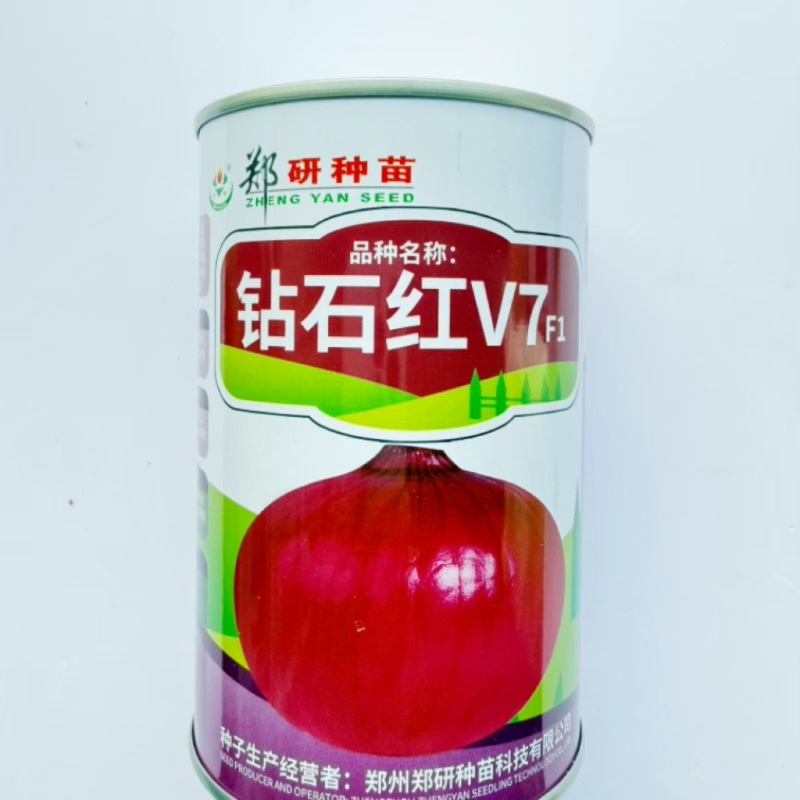 钻石红V7洋葱种子红皮白肉大葱种子高产抗病耐热耐寒春秋播蔬菜种