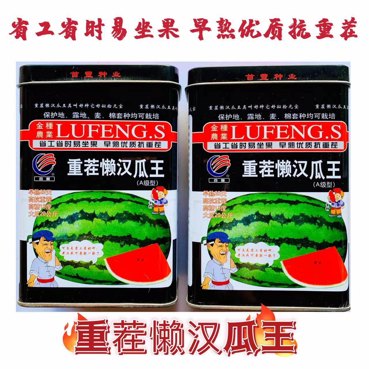 春夏秋高产抗重茬脆甜多汁