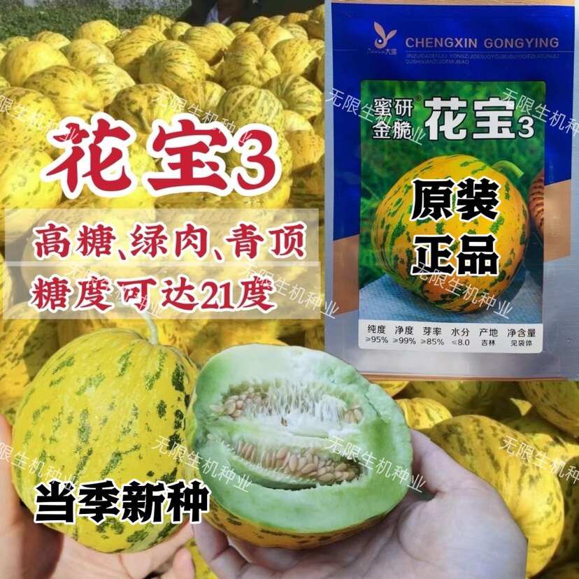 正品蜜研金脆花宝3甜瓜种子高糖绿肉豹纹花皮香瓜种籽大田基地播