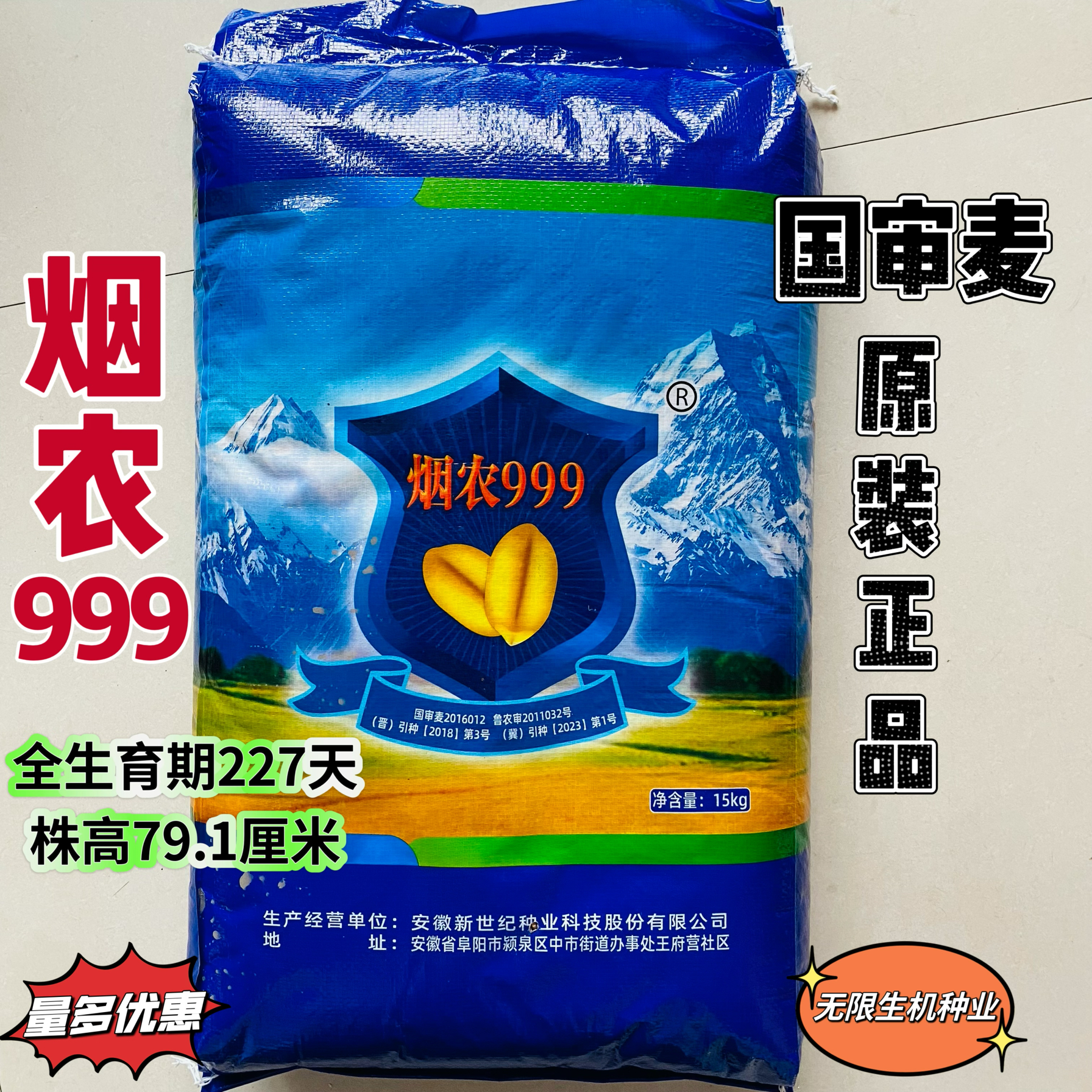 正品 国审小麦原种烟农999小麦种籽高产矮杆大穗硬质倒伏抗病抗旱