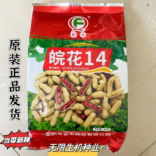皖花14花生种子原装正品高产抗病抗逆性强油食兼用大粒花生种籽