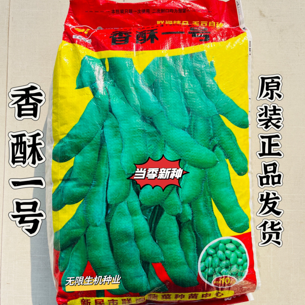 香酥一号毛豆种子早熟大荚菜青豆种籽高产鲜食豆春夏季播种蔬菜种