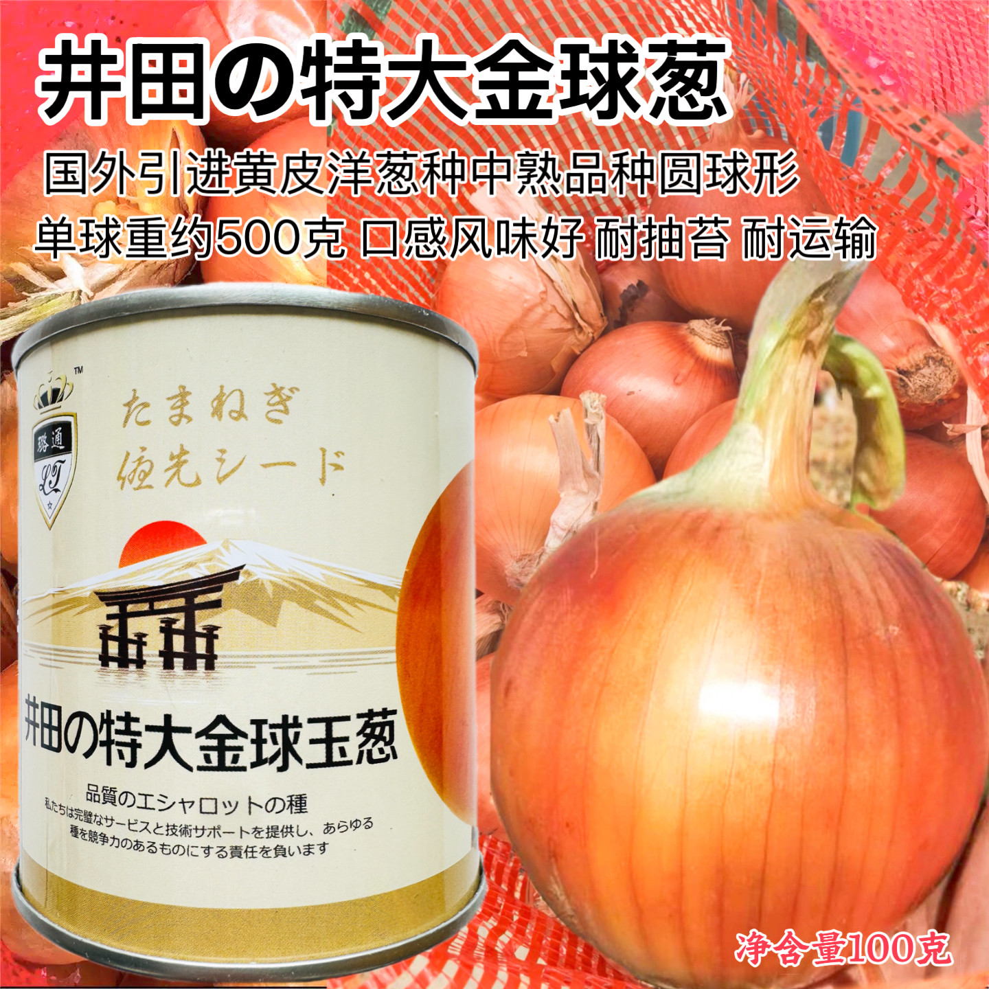 井田特大金球玉葱种子日本进口黄皮洋葱种籽口感甜脆耐抽薹耐运输