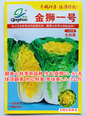 山东青硕黄心大白菜种子金狮一号翻黄心白种籽秋播黄心菜优质种孑