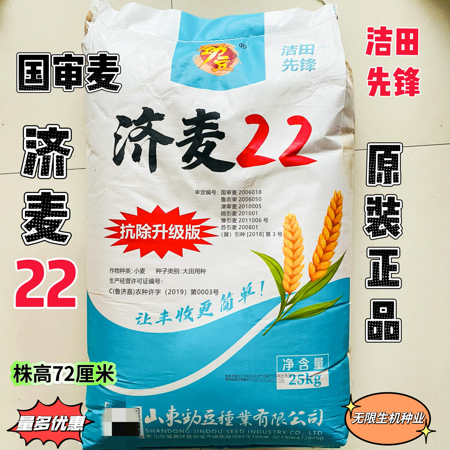 优质强筋冬小麦种子高产山东小麦济麦22小麦种子矮秆抗倒大穗原种