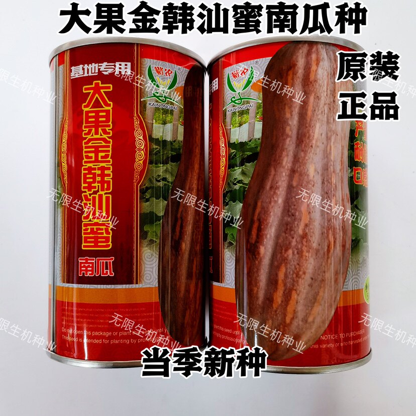 大果金韩汕蜜蜜本南瓜种子肉厚面粉味甜水份少耐运输高产南瓜种籽