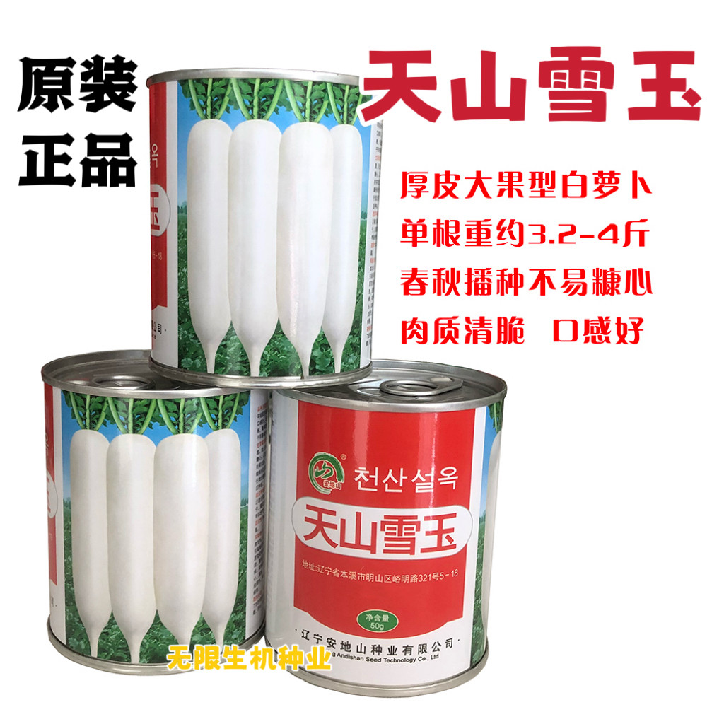 原装原罐天山雪玉萝卜种子韩国品种白萝卜种籽春秋季种植抗病高产